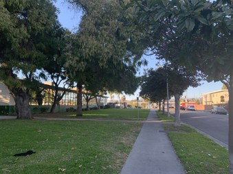Dorsey High School