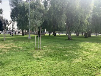 Enlarge photo 4
