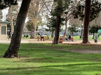 Enlarge photo 28