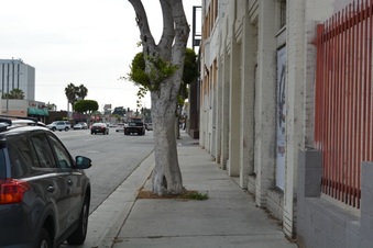 Enlarge photo 11