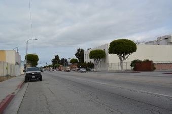 Enlarge photo 13