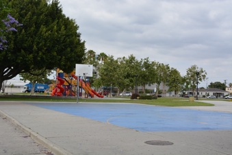 Enlarge photo 7