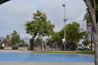 Enlarge photo 11