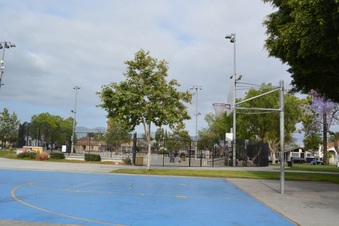 Enlarge photo 15