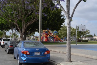 Enlarge photo 20