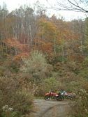 Enlarge photo 22