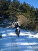 Enlarge photo 28