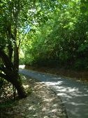 Enlarge photo 18