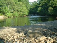 Enlarge photo 19