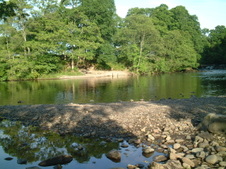 Enlarge photo 20