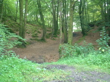 Enlarge photo 22