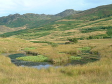 Enlarge photo 35
