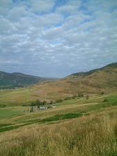 Enlarge photo 38