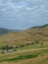 Enlarge photo 39