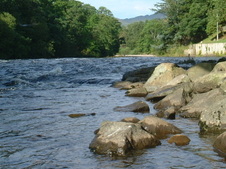 Enlarge photo 41