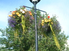 Enlarge photo 42