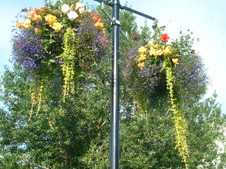 Enlarge photo 43