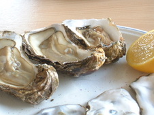 Enlarge photo 48