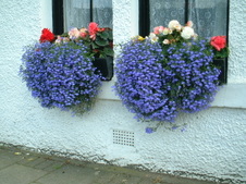 Enlarge photo 51