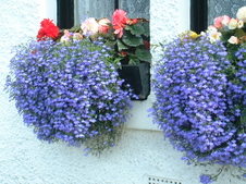 Enlarge photo 52