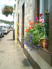 Enlarge photo 53
