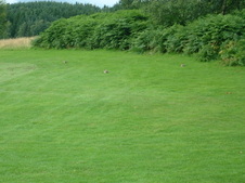 Enlarge photo 55