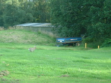 Enlarge photo 58