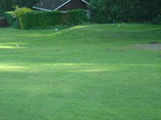 Enlarge photo 59
