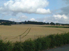 Enlarge photo 109