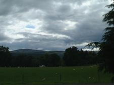 Enlarge photo 116