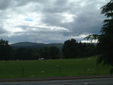 Enlarge photo 117