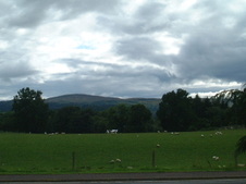 Enlarge photo 118