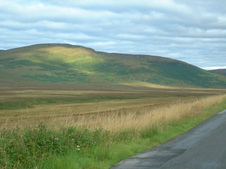 Enlarge photo 135