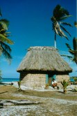 Film photo selection - Tropical light