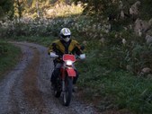 Enlarge photo 91