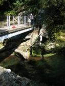 Enlarge photo 65