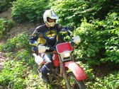 Enlarge photo 70