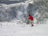 Enlarge photo 61