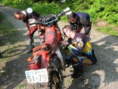 Enlarge photo 71