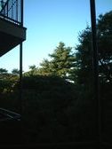 Enlarge photo 287