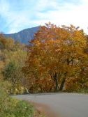 Enlarge photo 301