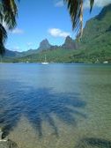 Enlarge photo 185