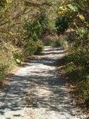 Enlarge photo 289