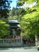 Enlarge photo 157