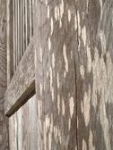 Enlarge photo 159