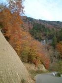 Enlarge photo 300