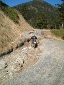 Enlarge photo 316