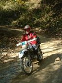 Enlarge photo 294