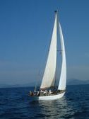 Enlarge photo 134