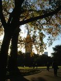 Enlarge photo 304